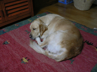 wphoto05nov3 015.JPG